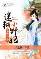 迷糊小野妃:腹黑冷王,劫色!