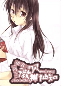 (网王同人)微风襟袖知