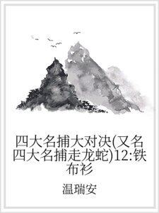 四大名捕大对决(又名四大名捕走龙蛇)12:铁布衫