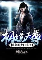 《極境天尊》