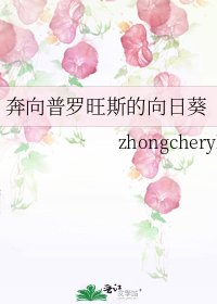 《奔向普羅旺斯的向日葵》