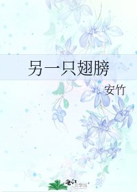 《另一隻翅膀》