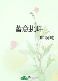 《蓄意挑釁》