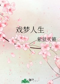 《戲夢人生》