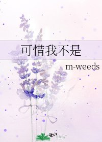 《可惜我不是》
