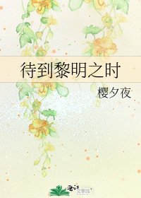 《待到黎明之時》