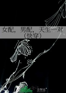 《女佩,男佩,天生一對(筷穿)》
